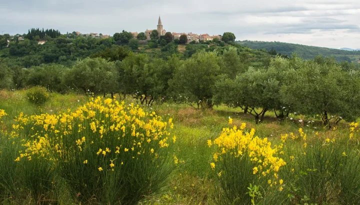 E-Bike Rental in Umag: Your Gateway to a Green Adventure in Istria